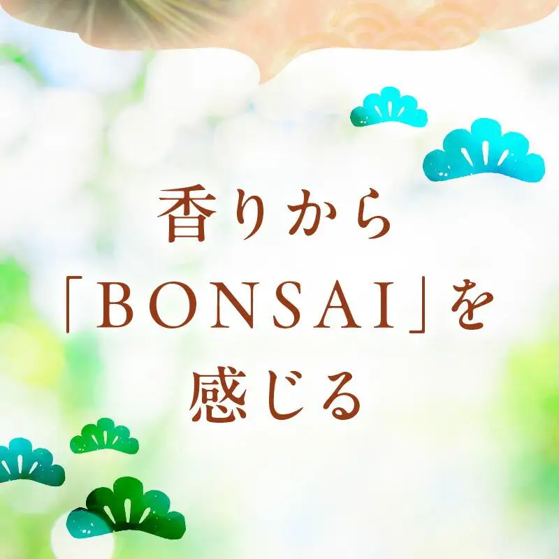 香りぼん TSUBO
