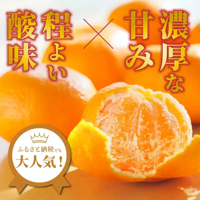 岸田果樹園プレミアム「温故蜜柑」約5kg_1275R
