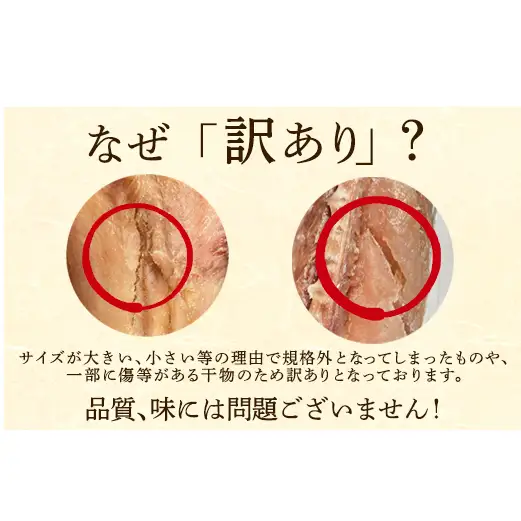 【2027年2月下旬発送】訳あり 干物・切身 セット 4.7kg 規格外 傷 不揃い