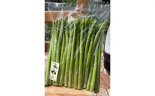 《 先行予約 》【 令和8年産 夏芽 】 アスパラガス M 1kg （ 細物 M以下 ）〔 2026年 7月中旬頃 ～ 発送予定 〕 アスパラ 野菜 農園成 産地直送 農家直送 2026年産