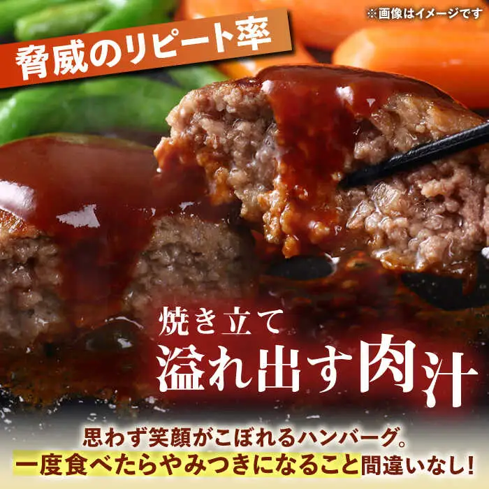 ハンバーグ屋の肉汁溢れる生ハンバーグ 150g×10個 [VDC003] ハンバーグ 冷凍