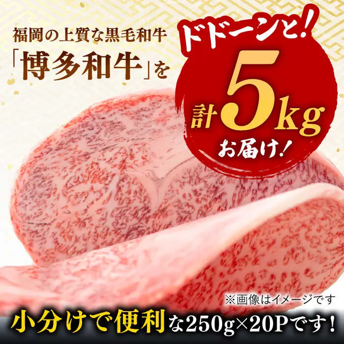 【訳あり】博多和牛 サーロイン ステーキ 5kg [ADAQ028] サーロインステーキ
