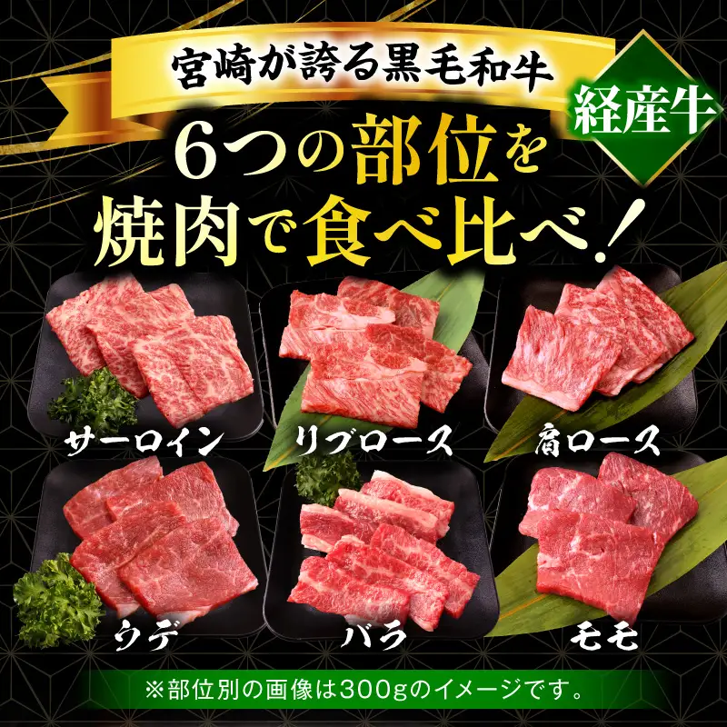 宮崎県産黒毛和牛(経産)6種焼肉セット 600g 黒毛和牛 牛肉 肉 サーロイン リブロース 肩ロース ウデ バラ モモ 焼肉 バーベキュー BBQ 濃厚 プレゼント 贈答 贈り物 ギフト_kn085-007-02
