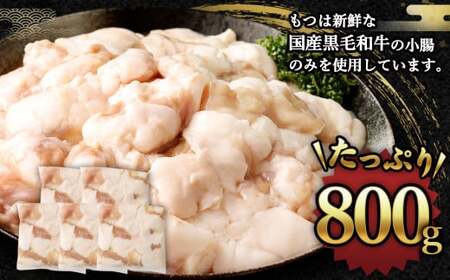 国産もつ鍋 8人前 冷凍ちゃんぽん・濃縮スープ付き 岡垣町