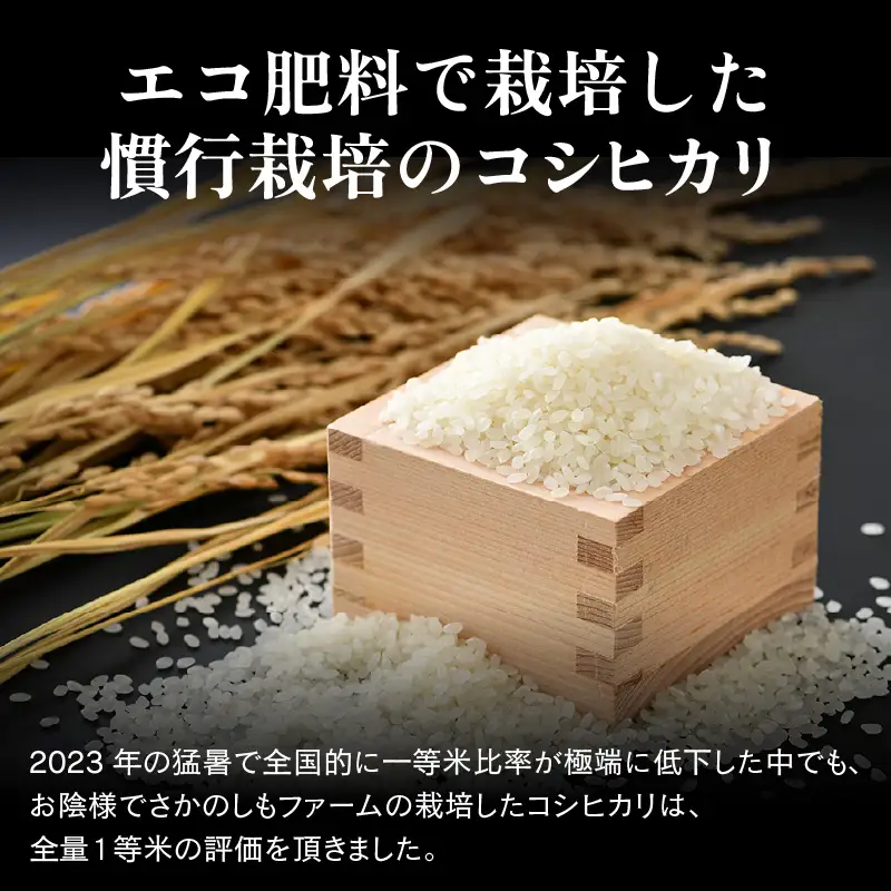【先行予約】【令和8年産 新米】《定期便3回》【一等米】エコ栽培コシヒカリ 白米10kg（5kg×2袋）計30kg ／ 鮮度抜群 福井県産 こしひかり ご飯 新鮮 白米 ※2026年10月上旬以降順次発送 [aw063-e010]