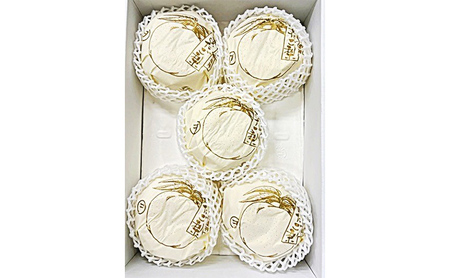 梨 2026年 先行予約 あたご梨 3-6玉（約4kg） 化粧箱入り なし ナシ 岡山県産 国産 フルーツ 果物 ギフト 