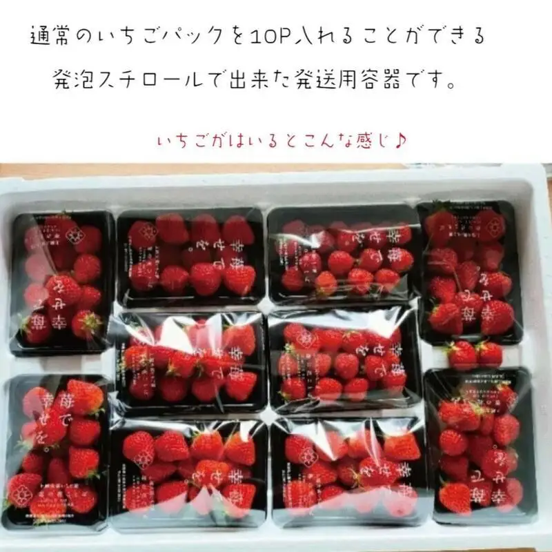 【先行予約・定期便5回】訳あり 越後姫 いちご 200g×10 越後姫 (2~6月発送)