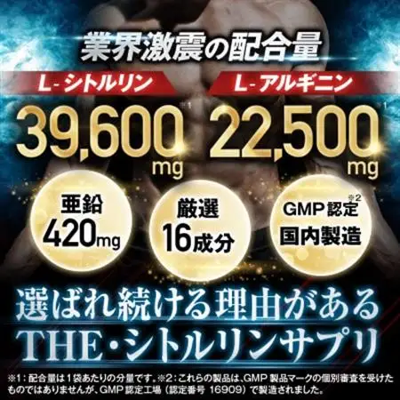 シトルリンサプリメント アルギニン 亜鉛 マカ配合 Mr.GINO ソルエナジー 6袋(6ヶ月分)【1495258】