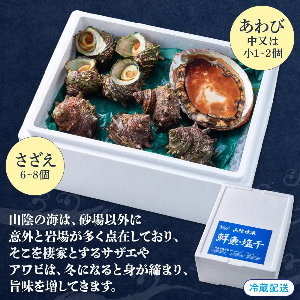 ＜土日祝着＞＜1月上旬～2月上旬頃順次配送＞あわび・さざえ詰合せ(2種) 【鳥取県 境港市】