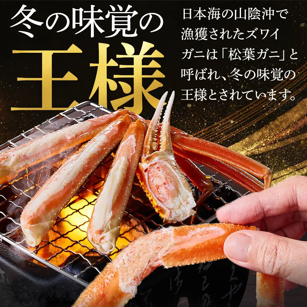 ＜火～木着※指定日不可＞＜11月中旬～3月上旬発送予定＞浜茹松葉ガニ足欠(2枚/計約800g以上)