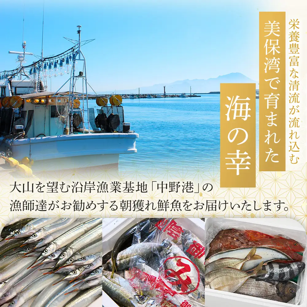 ＜火～木着※指定日不可＞＜期間限定＞＜4月上旬～10月末頃発送予定＞朝獲れ鮮魚ボックス「美保湾の恵み」(計2.5kg以上)