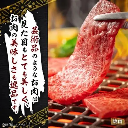 飛騨牛5等級　ミスジ・三角バラ　焼肉用　500g【配送不可地域：離島】【1043501】