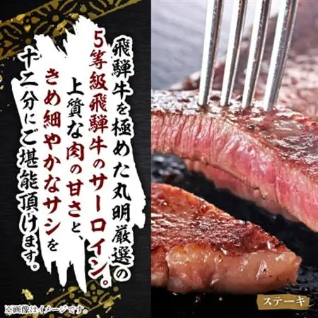 飛騨牛5等級　サーロインステーキ　約250g×5枚【配送不可地域：離島・北海道・沖縄県】【1043511】