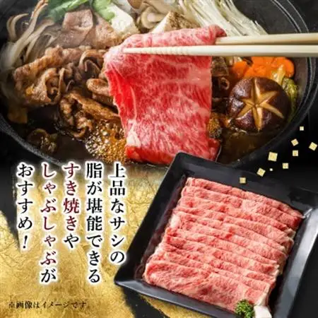 【飛騨牛】ローススライス(すき焼き/しゃぶしゃぶ)500g 岐阜県産 黒毛和牛 贈り物にも【配送不可地域：離島】【1046751】