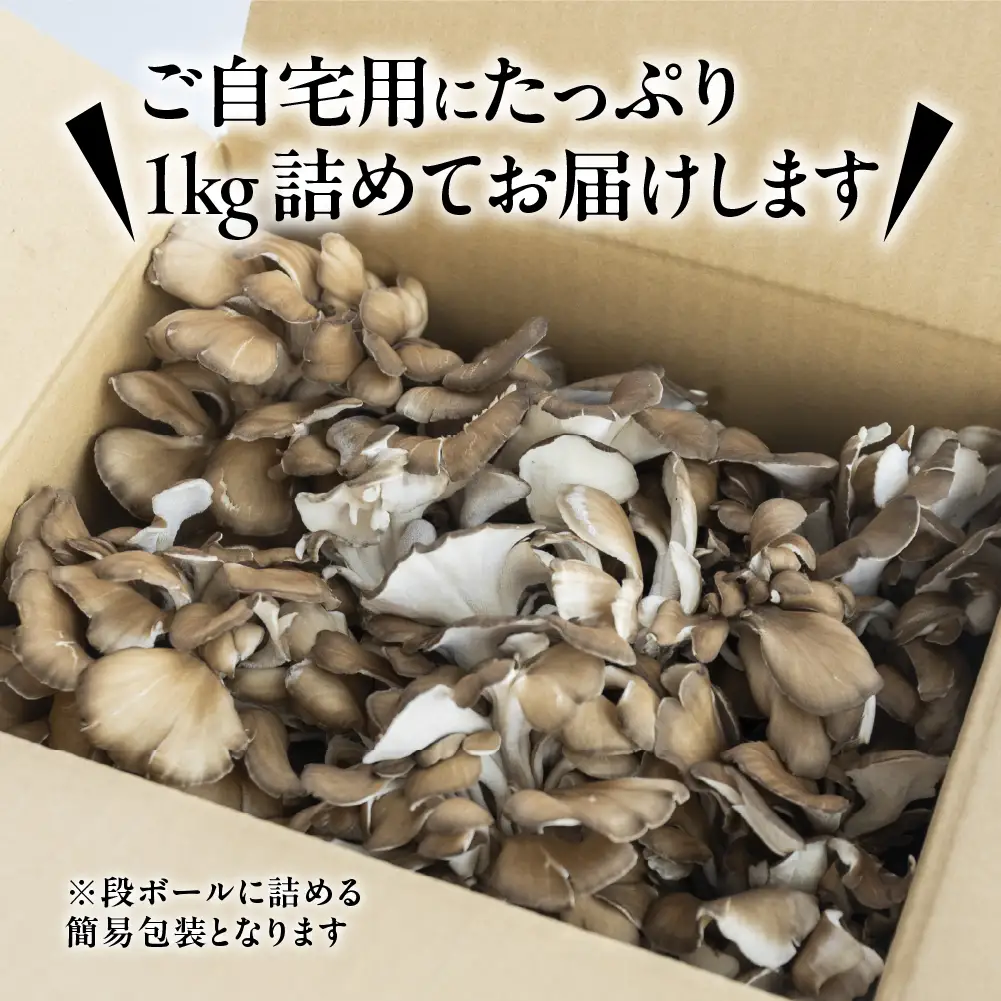 【ふるなびWEEK対象】訳あり（簡易包装）飛騨舞茸 1kg 舞茸【60-2fw】