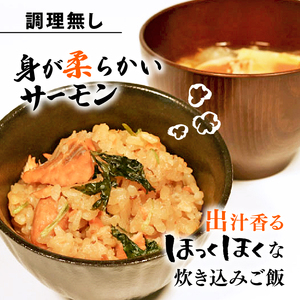 サーモンの炊き込みご飯 900g 150g×6袋 鮭 サーモン さけ ごはん ご飯 米 魚 海鮮 魚貝類 魚介類 簡単 惣菜 冷凍 岩手県 大船渡市