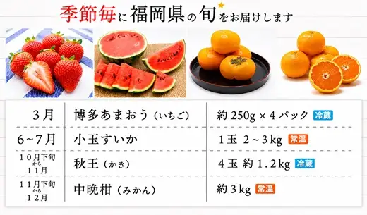 【年4回春夏秋冬】福岡旬のフルーツ定期便（3・6～7・10～11・11～12月）【随時開始】[H5360]