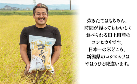 【新米先行予約受付開始】新潟県産　コシヒカリ【佐藤農園】5kg お米 新潟県田上町