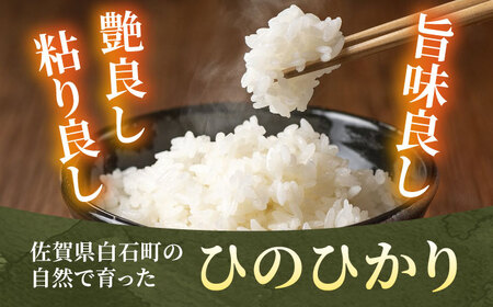 令和年産ひのひかり5kg （白米）/ 白米 [ICD011]