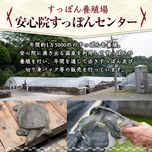 安心院べっぴんこらーげんスープ(計1.8kg・200g×9P)すっぽん スッポン コラーゲン レトルト 小分け 冷蔵【102700601】【安心院すっぽんセンター】