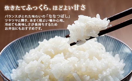 定期便 隔月3回 北海道産 ななつぼし 無洗米 15kg 米 特A 白米 お取り寄せ ごはん 15キロ 5kg ×3袋 道産米 ブランド米 まとめ買い お米 ようてい農業協同組合 ホクレン 送料無料 北海道 倶知安町