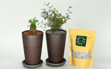 三河焼植木鉢ハーモニーブラウン【テラチップいぶし】プランター お手軽植物栽培セット 園芸 粘土 鉢 植物 土 シルバー 銀 茶 H188-003