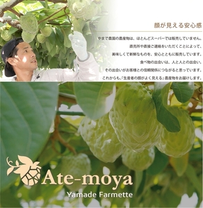 伊勢志摩産 アテモヤ 中玉３～４個 約1.2kg やまで農園 令和8年12月発送 世界三大美果 果物 ふるさと 納税 くだもの フルーツ 森の アイス クリーム 送料無料 産直 事前予約 三重 南伊勢
