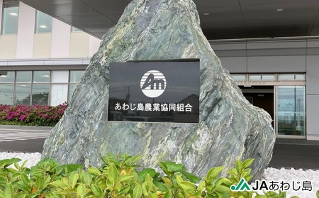 ＪＡあわじ島のほんまもんたまねぎ【3㎏】中晩生種