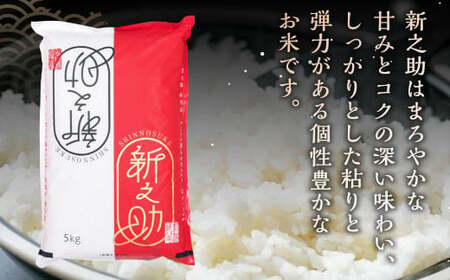 【令和7年産米】新潟県村上市岩船産 新之助 5kg 1027009