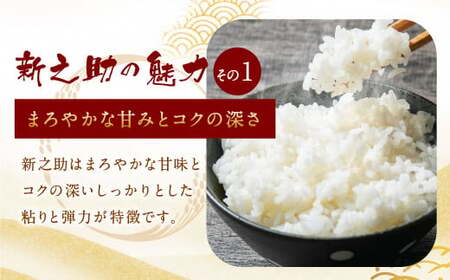 【新米受付・令和8年産米】新潟県村上市岩船産新之助5kg　1013002N