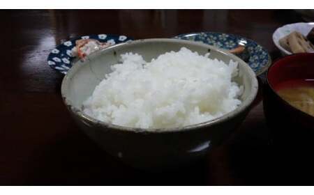 【新米受付・令和8年産米】 新潟県村上市岩船産  特別栽培米 新之助 4kg（2kg×2袋） 1039014N ｜ 白米 食味鑑定士謹製 一等米 プレミアム米 新耕農産 ツヤツヤ 農家直送 低温倉庫保管 安心 安全 小分けサイズ こだわり