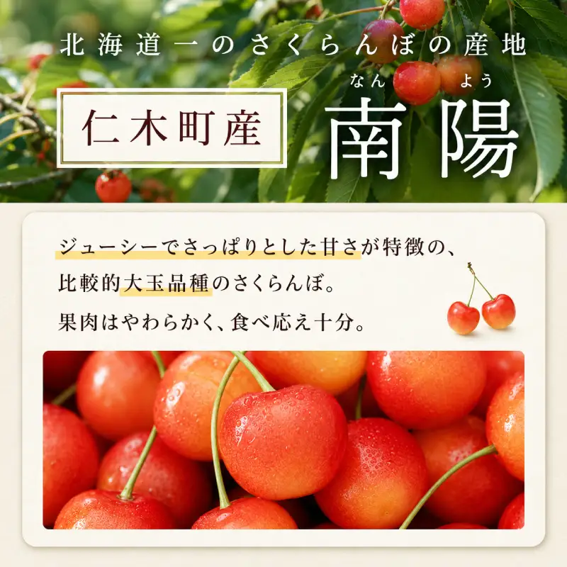 さくらんぼ 800g 南陽 Lサイズ サクランボ