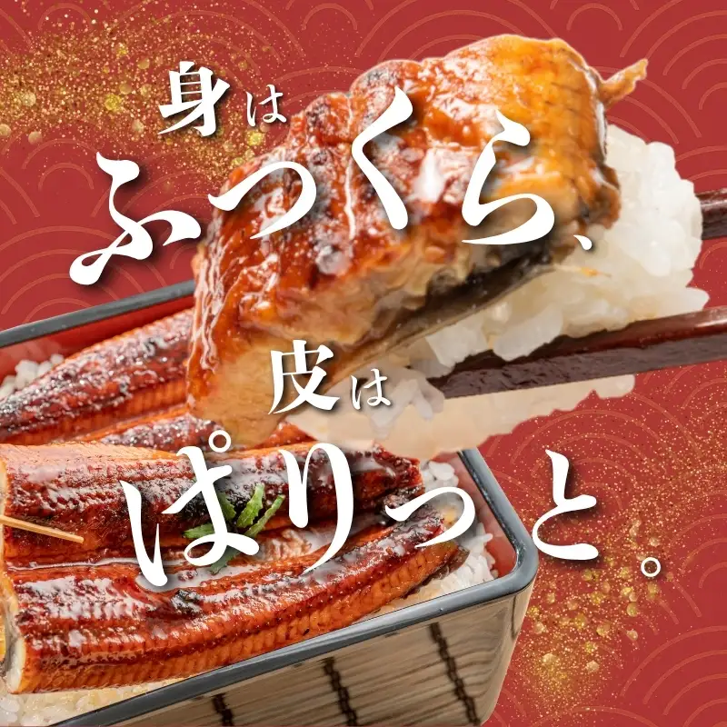 厳選国産うなぎ炭火蒲焼5尾 たれ・山椒付【順次発送】【BM04-tgun004】