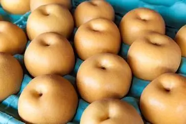 乙連沢梨園（阿久津さん）梨ギフト［豊水］2.5Kg 箱≪8月中旬～10月頃発送≫
