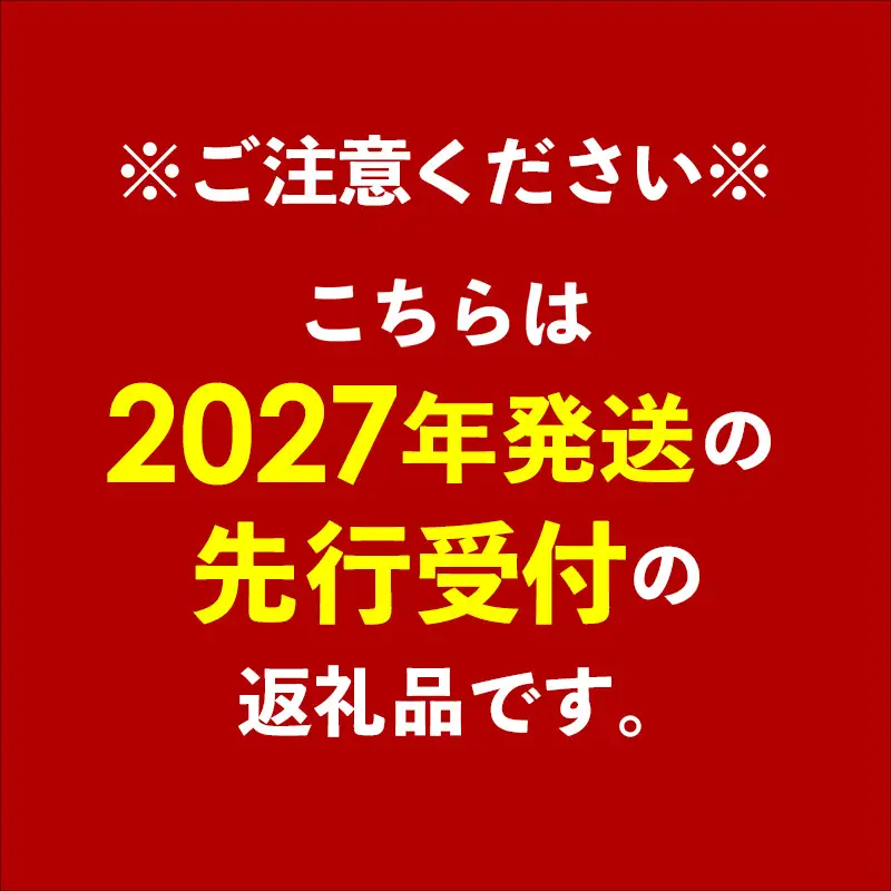 【先行受付】【2027年発送】ミナミマンゴーハウスの訳あり 赤金煌(レッドキンコウ）マンゴー 約2kg - 訳あり 先行予約 沖縄県産 産地直送 南国フルーツ 家庭用 ご自宅用 沖縄県 八重瀬町