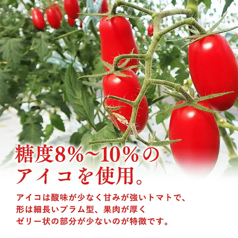  高糖度 ミニトマト [アイコ] 約1kg 【hi-0016-003】