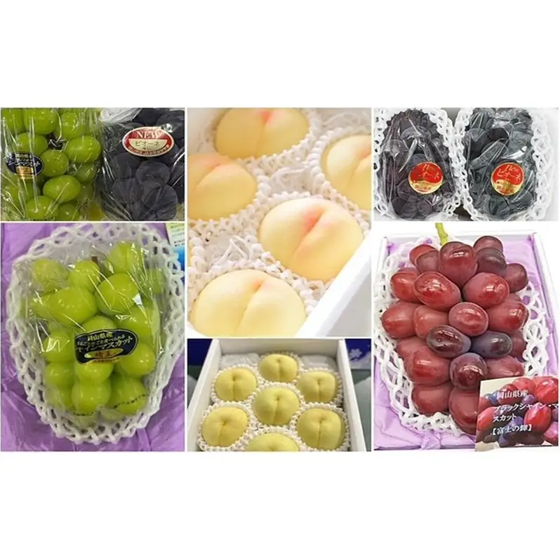 フルーツ定期便 桃 ぶどう 岡山県産 フルーツ定期便【6回コース】【先行予約】【定期便】
