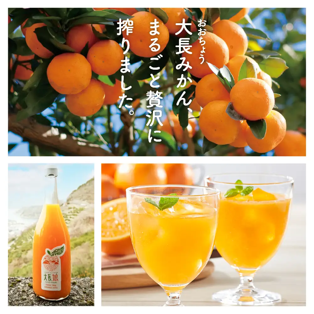 大長娘 100% 蜜柑ジュース 720ml×6本 柑橘 広島県 呉市