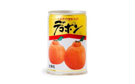 デコポン 缶詰 くまもとの果樹園 10缶 セット
