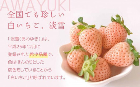 【年末年始発送】白いちご 淡雪 約500g ｜ 西谷農園