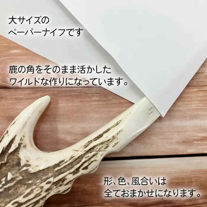 鹿の角 ペーパーナイフ 大 1個 【竜鹿】