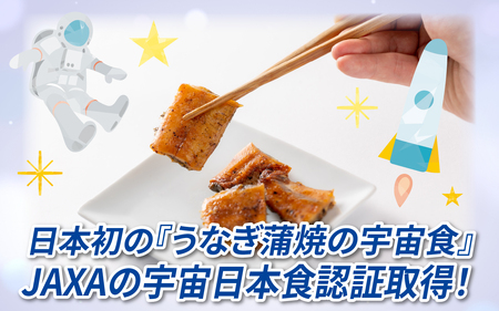 【やなのうなぎ 観光荘】スペースうなぎ（宇宙日本食認証取得）50g前後×1袋　鰻 ウナギ ブランド 丑の日 蒲焼き かば焼き 宇宙食 非常食 アウトドア 国産 岡谷市