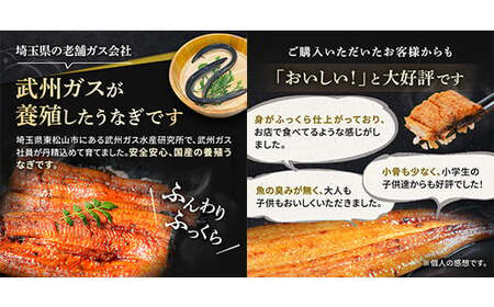うなぎ 国産 4尾 お手頃サイズ 約400g | うなぎ 国産