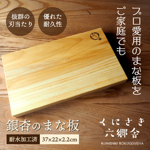 銀杏のまな板（並級）37×22×2.2cm/耐水加工済_2399R-1