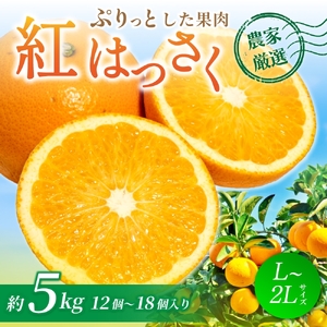 【先行予約】【数量わずか】あふれる果汁！ 希少な紅はっさく 秀品 5kg L～２L 2027年2月初旬〜2027年3月中旬頃に順次発送予定（お届け日指定不可）/ ハッサク 八朔 紅八朔 紅はっさく フルーツ 柑橘 蜜柑 果物 くだもの【kgr006A】