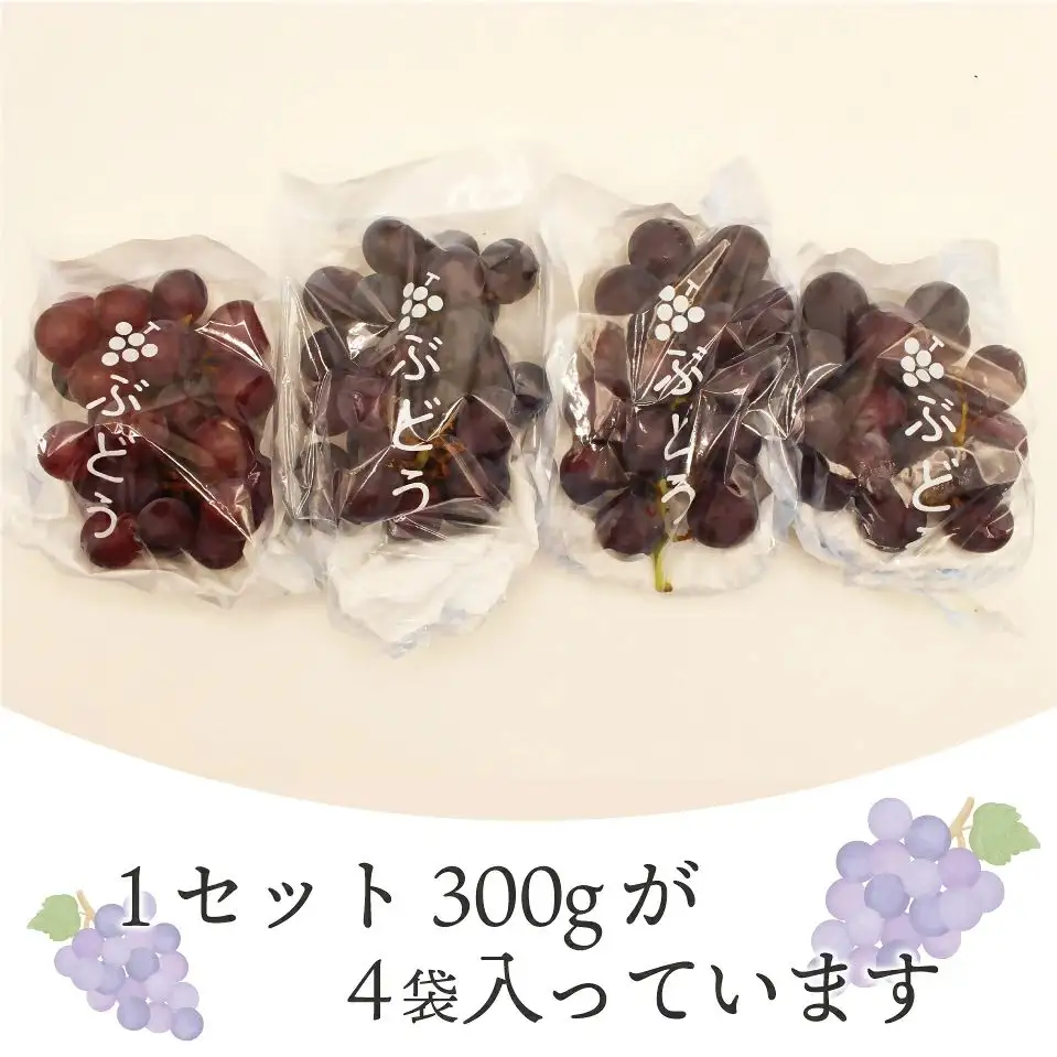 【2026年収穫分 先行予約】【JAむなかたより】巨峰1.2kg【JAほたるの里】_HA1476