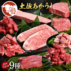 土佐あかうし詰め合わせ9種（合計6.6kg）