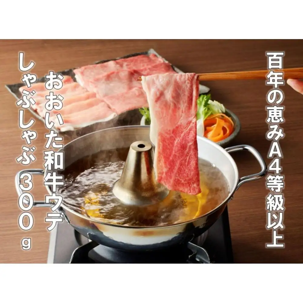 【百年の恵みおおいた和牛】A4等級以上300gと大分県産豚米の恵み200gのしゃぶしゃぶセット計500g