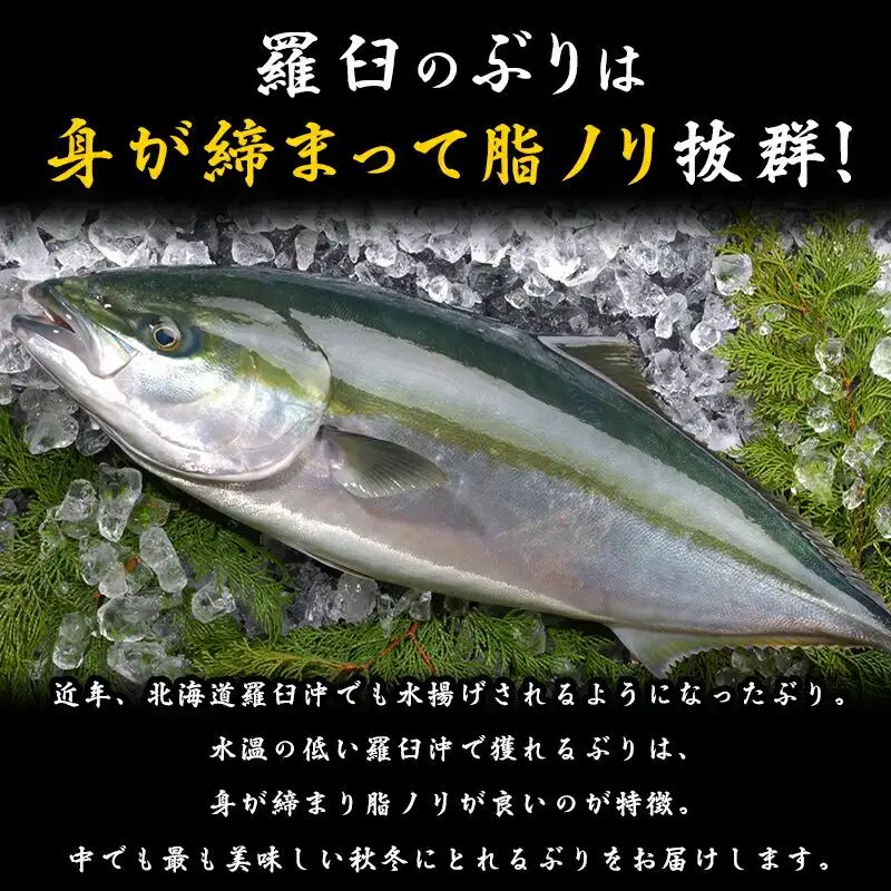 羅臼産ぶり三昧４分の１尾分 魚 天然 ぶり 知床 北海道