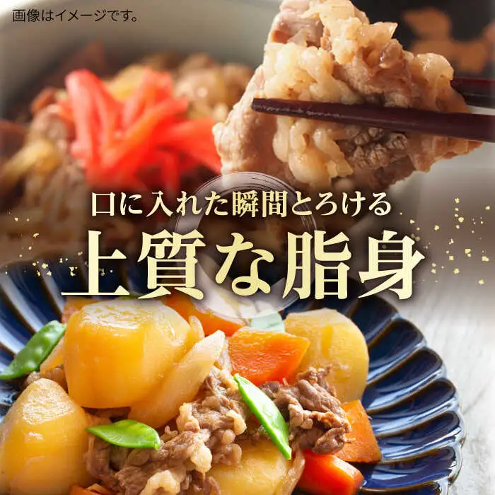 【全2回定期便】壱岐牛切り落とし 500g [JBO118] 26000 26000円